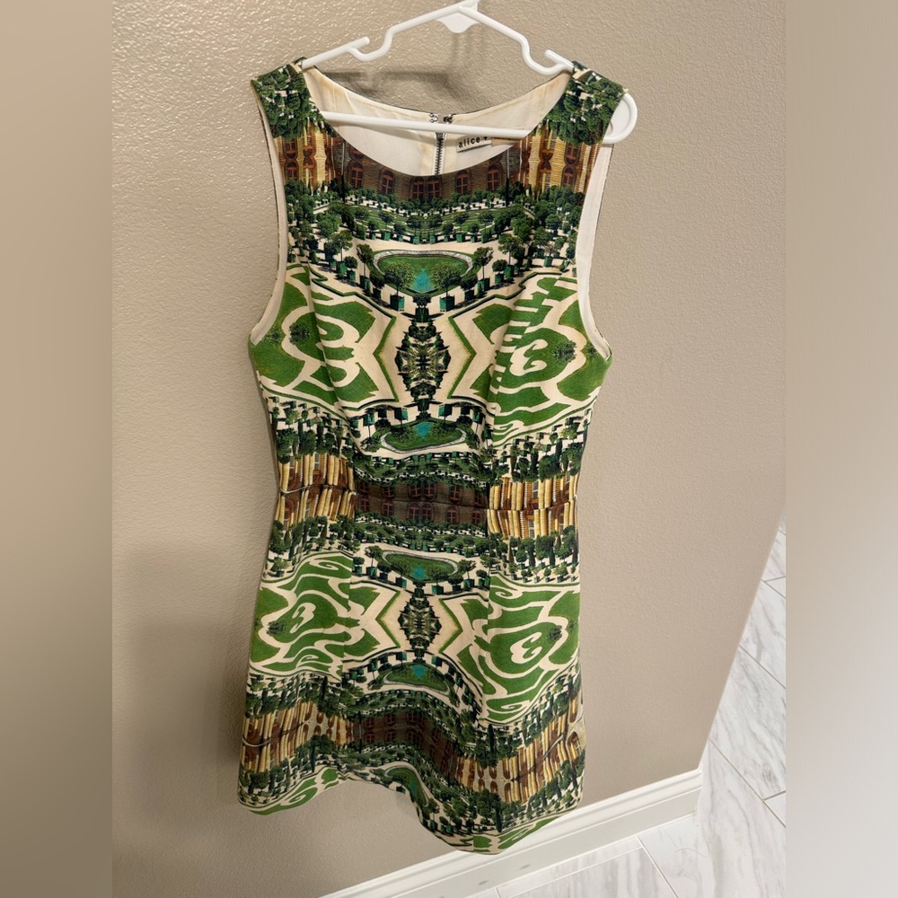 Alice+Oliva dress size 2